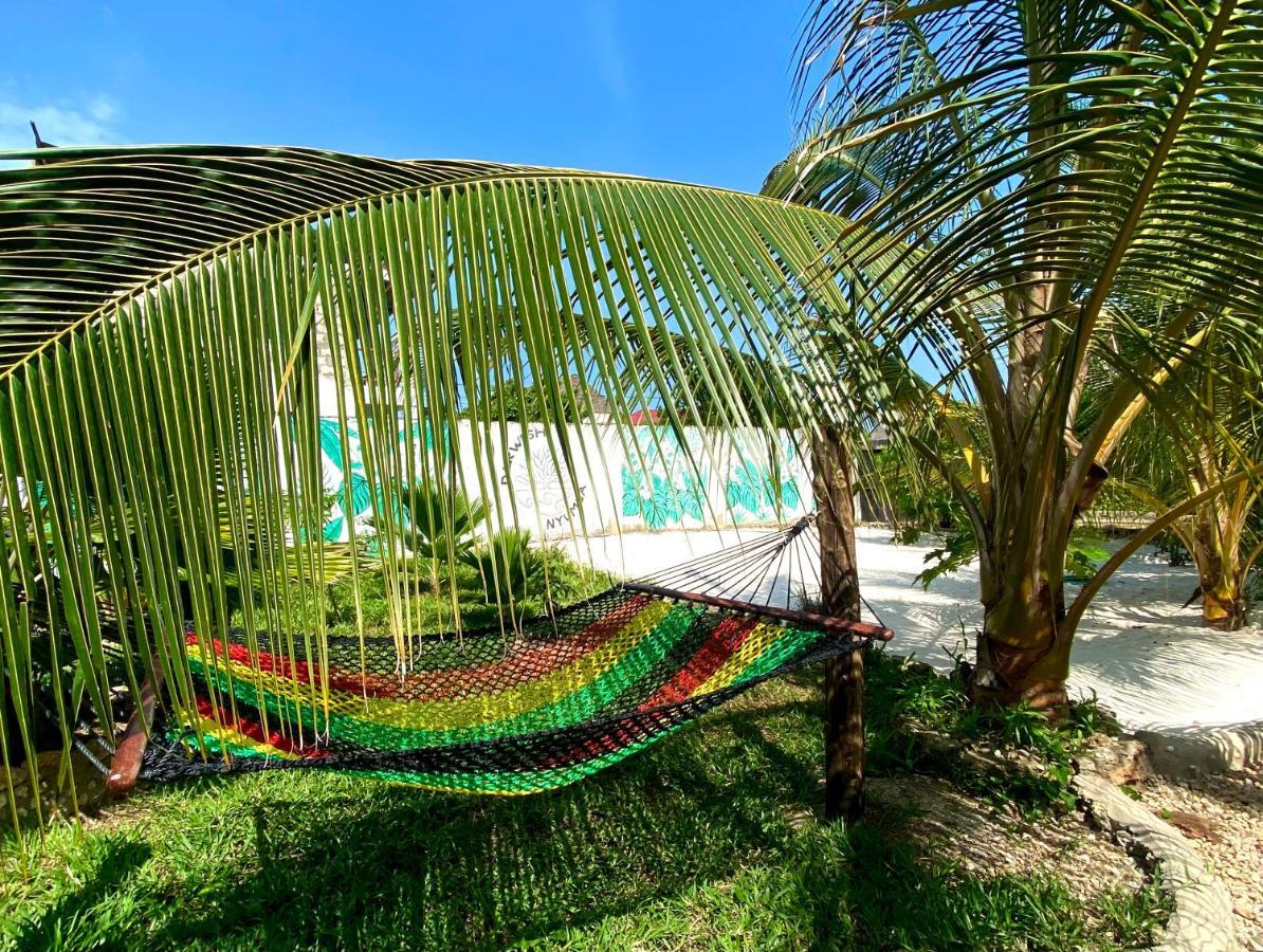 Darwesh Nyumba Lodge Нунгви Экстерьер фото